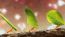 Infinity Kingdom 类似于 Infinity Kingdom