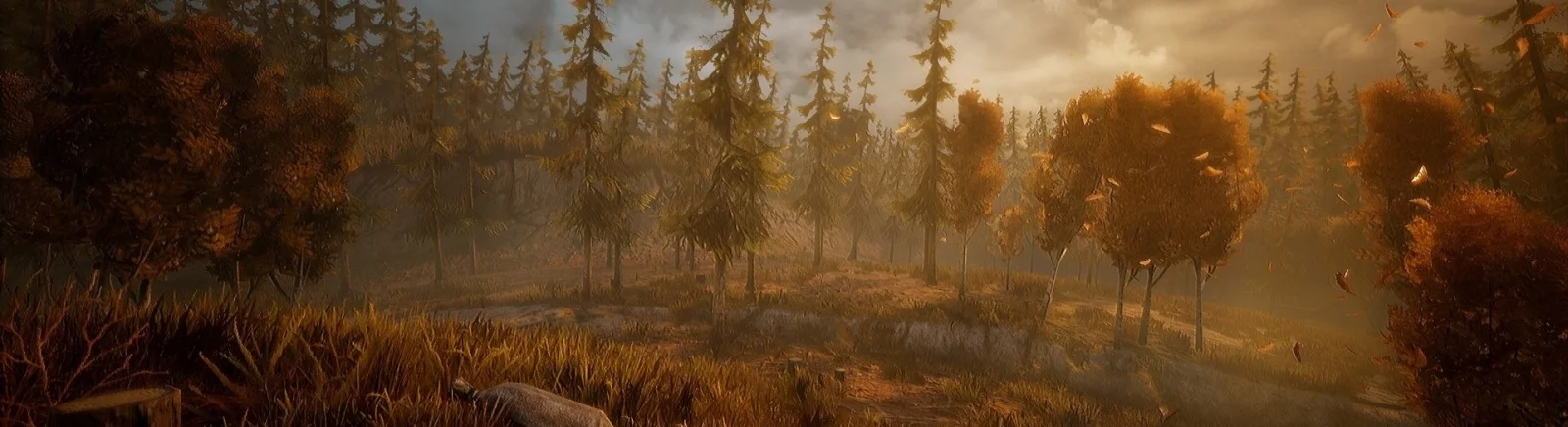 在不同国家/地区的 Wandering Wolf[platforms] 上  的发行日期