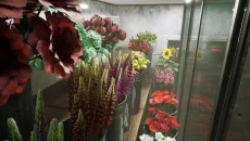 Train 113 类似于 Train 113