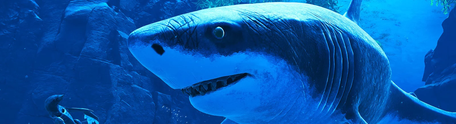 在不同国家/地区的 Glaciered[platforms] 上  的发行日期