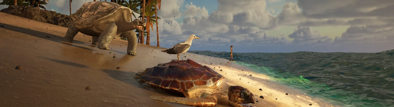 以低价购买 Eden Island，最高可享受 90% 的折扣 🏷️，比较不同商店的价格