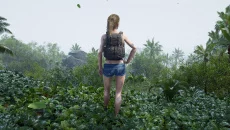 Dinkum 类似于 Dinkum