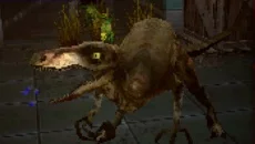 Dino Trauma