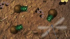 Isopod A RolyPoly Science Game - 一款教育游戏(教育)类型的游戏