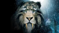 Primitive - 一款狩猎 / 钓鱼类型的游戏