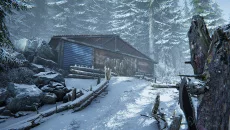 Silence In The Cabin