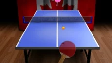 World Cup Table Tennis - 一款乒乓球类型的游戏
