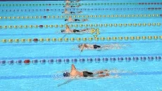 Athletics 2 Summer Sports Lite - 一款奥林匹克类型的游戏