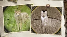 Hunting Simulator 2 类似于 Hunting Simulator 2