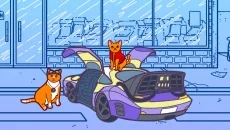 Cats and Seek 类似于 Cats and Seek