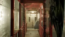 Hornet 类似于 Hornet