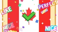 Flag Painting Puzzle - 一款教育游戏(教育)类型的游戏