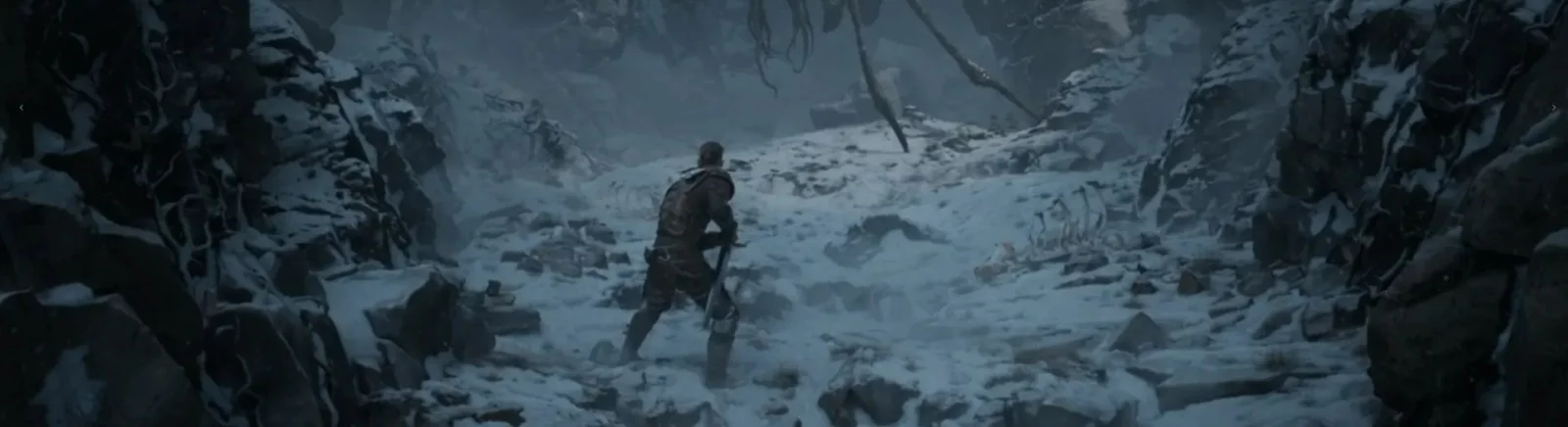 论坛 The Night Wanderer