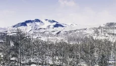 The Cold White - 一款建筑类型的游戏