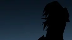 Records of the Flycatcher