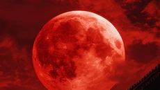 Black Myth: Wukong 类似于 Black Myth: Wukong