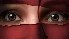 Remothered: Broken Porcelain 类似于 Remothered: Broken Porcelain