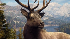 Way of the Hunter Wild America - 一款狩猎 / 钓鱼类型的游戏