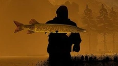 GONE Fishing