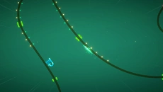 Tanglewood 类似于 Tanglewood