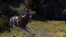 Cabela's Big Game Hunter 2012 - 一款体育游戏类型的游戏